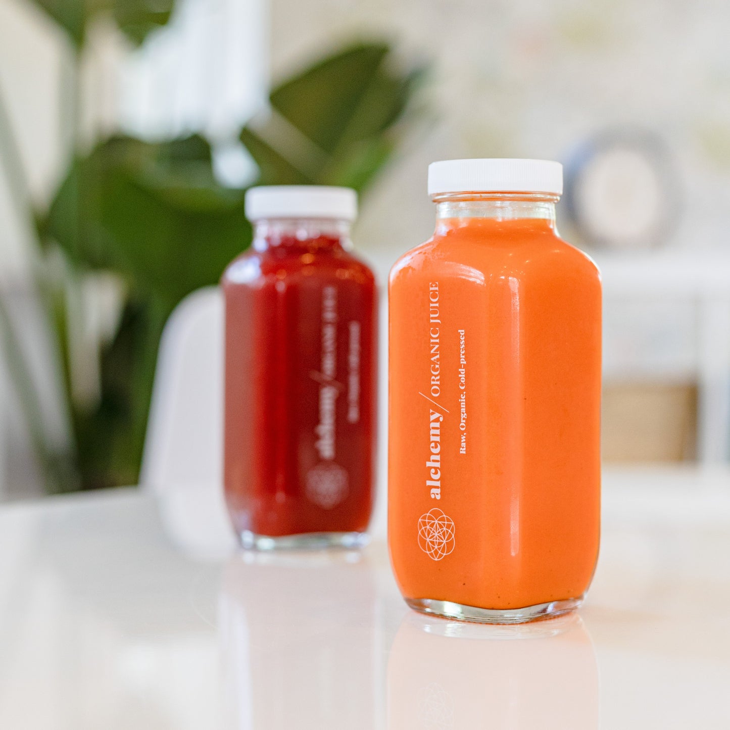 Cold Pressed Juice